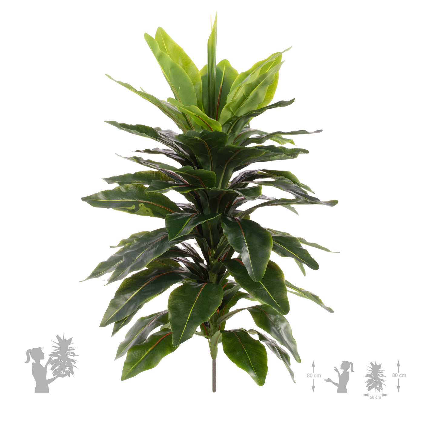 Philodendron artificial D50xH80 cm