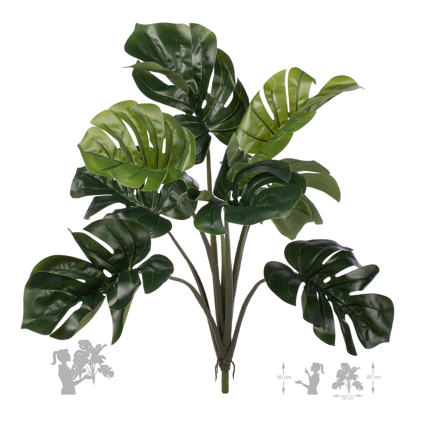 Philodendron artificial Pertusum cu 8 frunze H60cm