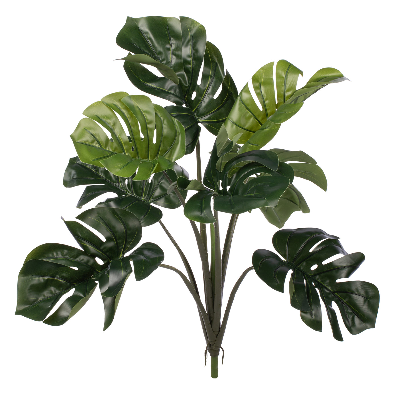 Philodendron artificial Pertusum cu 8 frunze H60cm