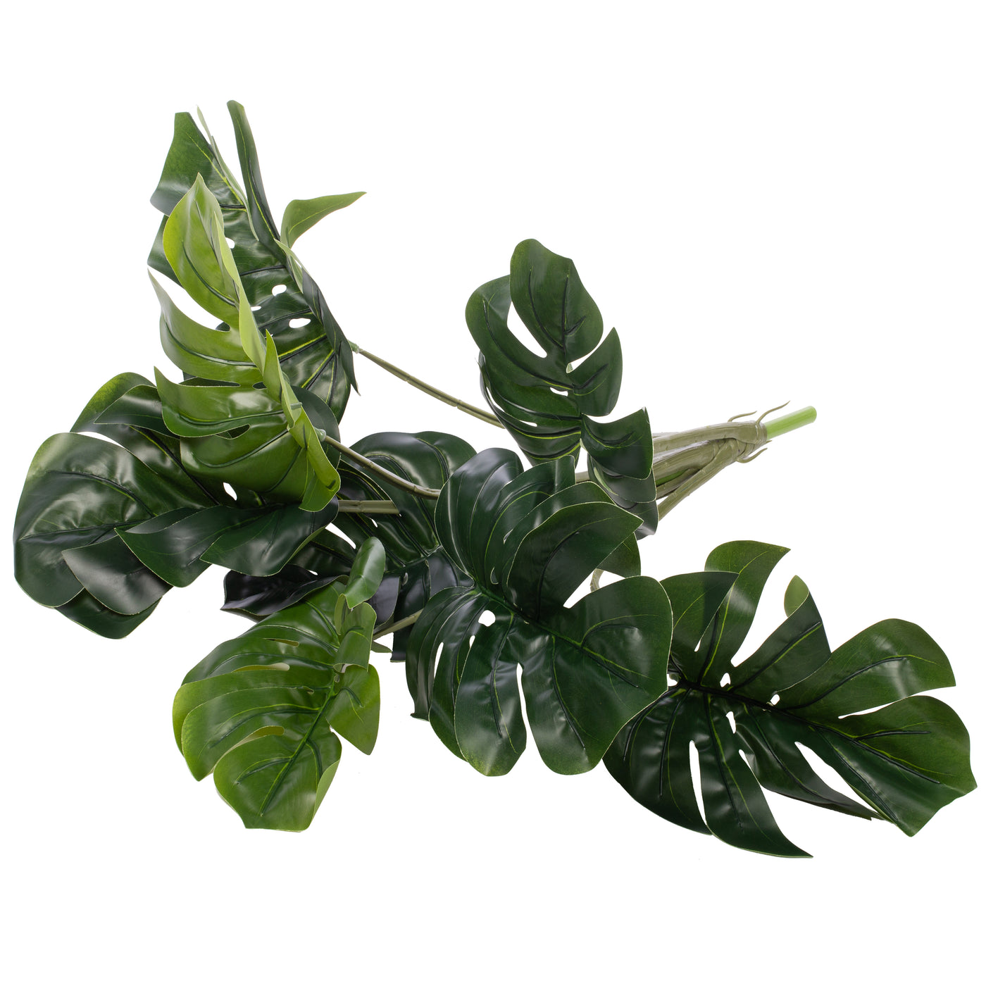 Philodendron artificial Pertusum cu 8 frunze H60cm