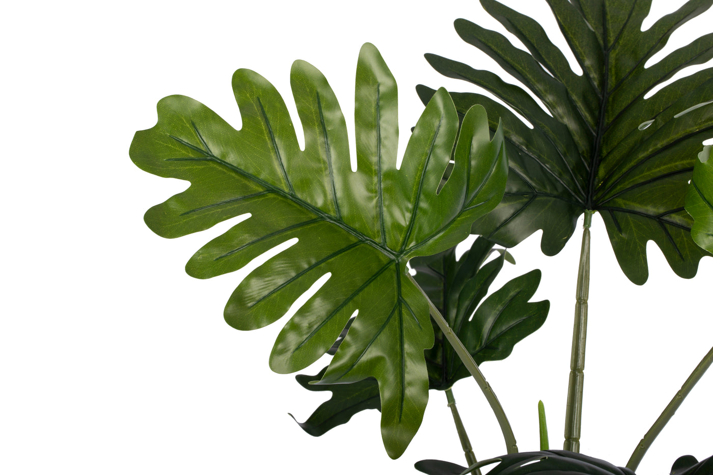 Philodendron xanadu artificial cu 8 frunze D50xH80 cm