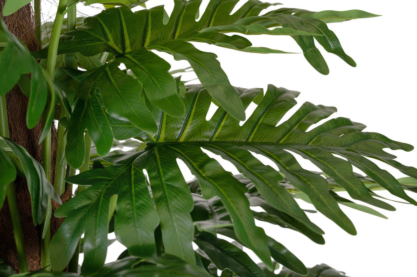 Planta artificiala H190cm Philodendron xanadu