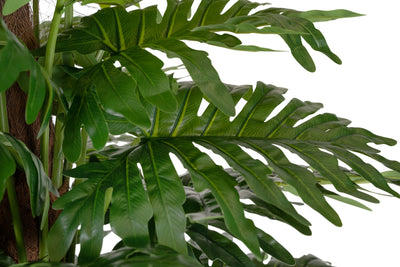 Philodendron artificial xanadu H190 cm