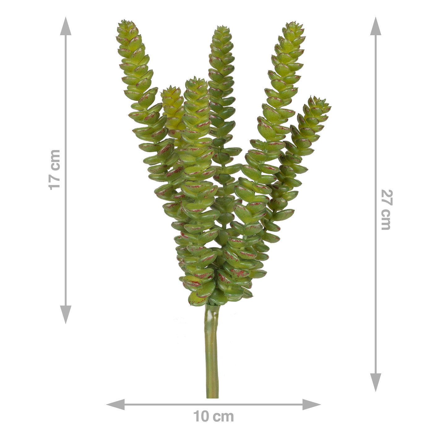 Planta artificiala Planta artificiala crassula