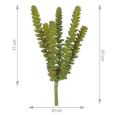 Planta artificiala Planta artificiala crassula