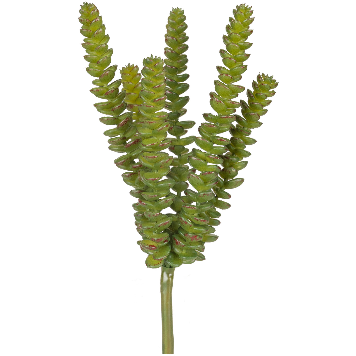 Planta artificiala Planta artificiala crassula