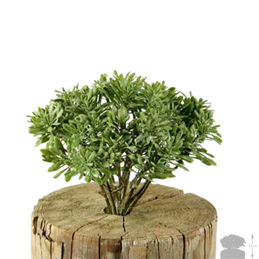 Planta artificiala Planta artificiala Dusty Miller 23 cm