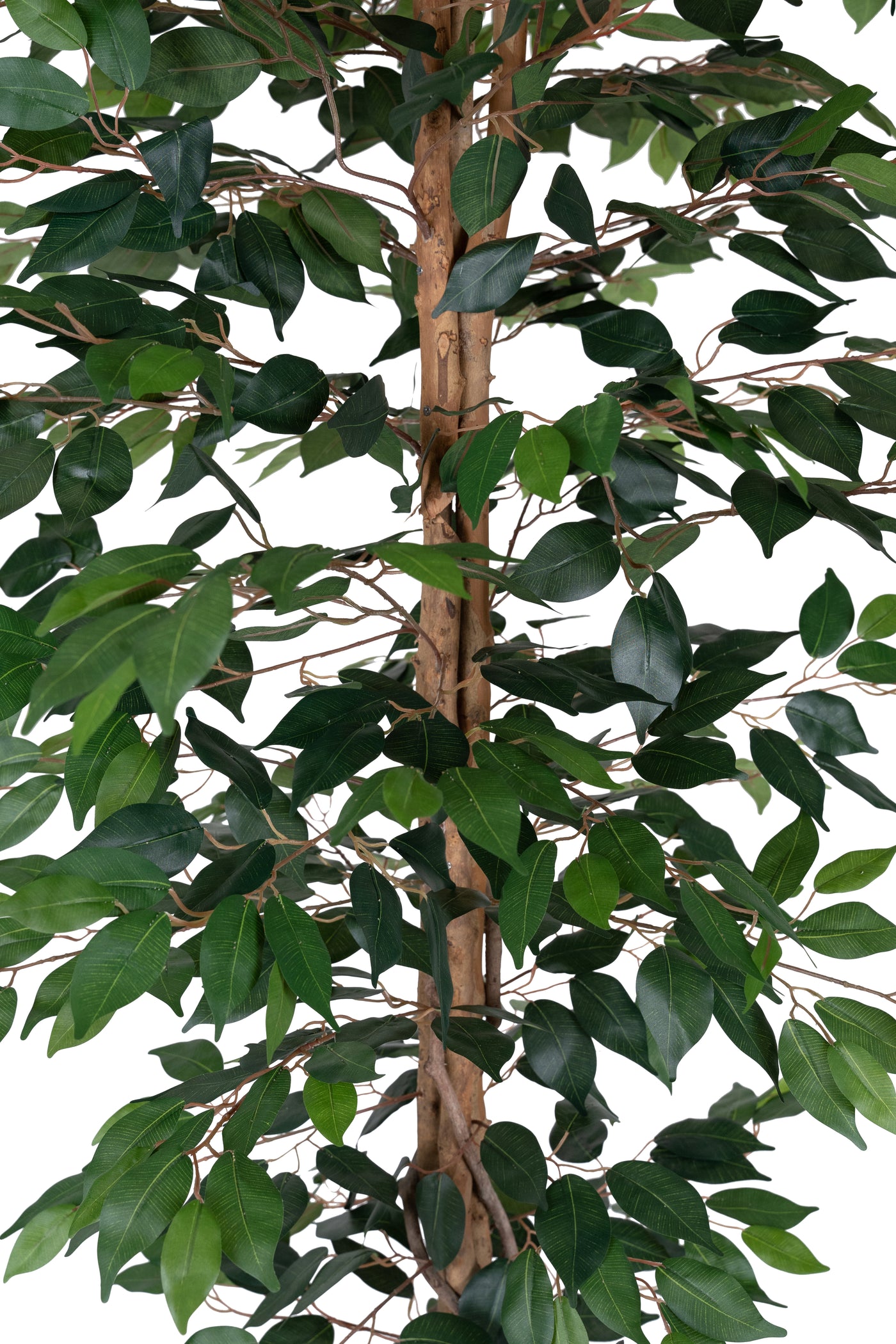 Copac artificial H210cm Ficus cu 3 trunchiuri, 1638 frunze