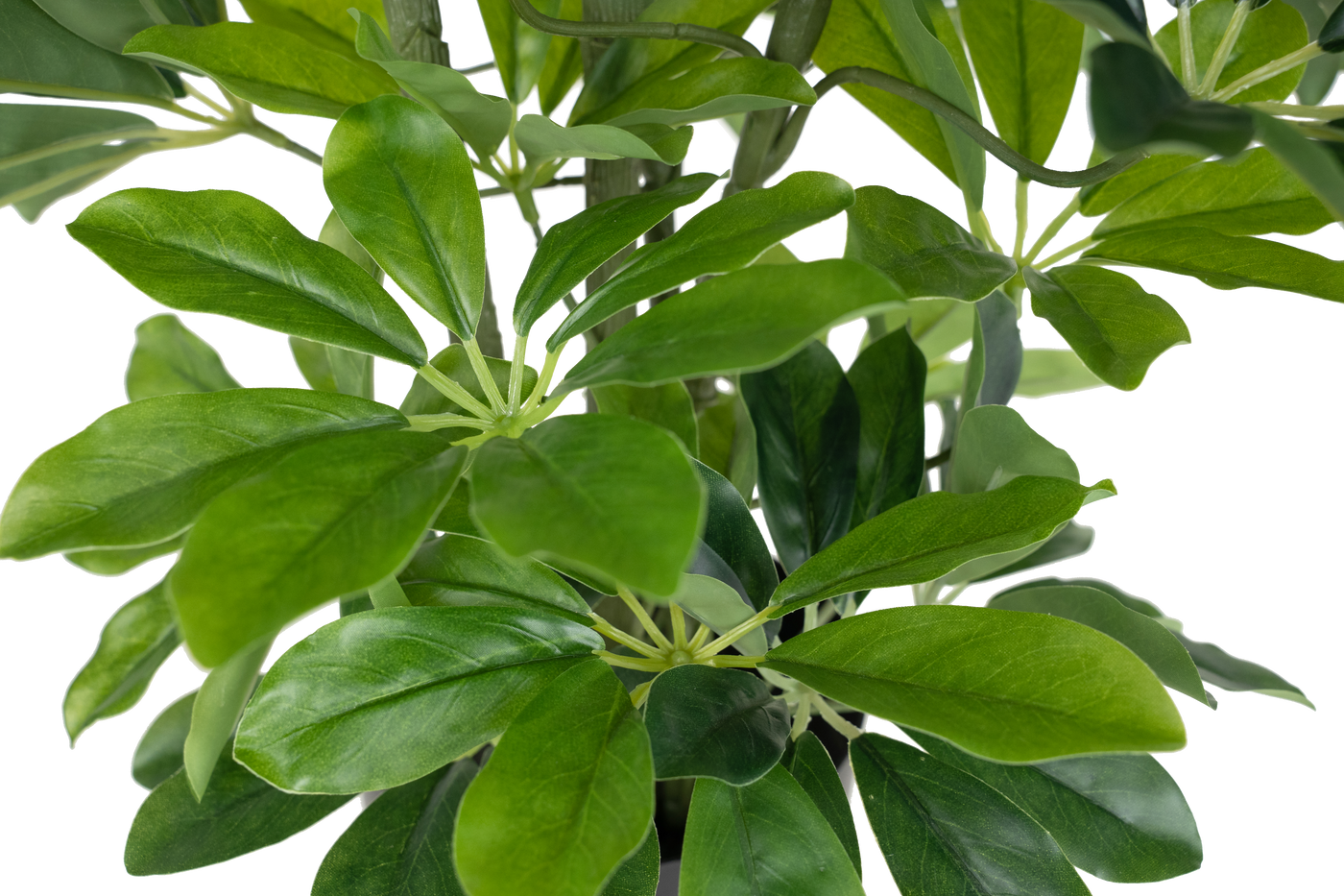 Planta artificiala H100cm Schefflera arboricola cu 477 frunze