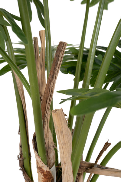 Planta artificiala H110cm Philodendron cu 11 frunze