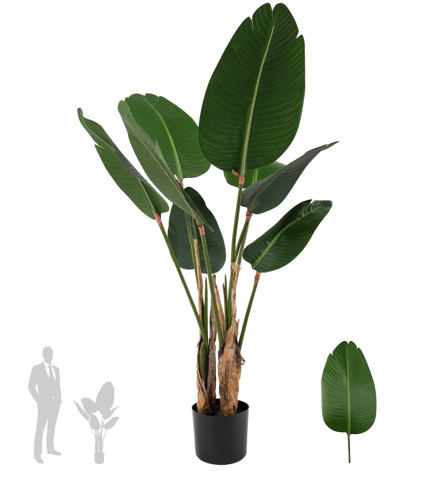 Planta artificiala H120cm Strelitzia nicolai cu 8 frunze