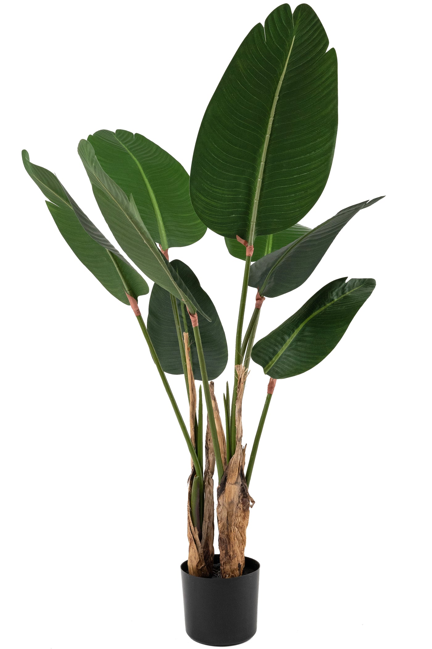 Planta artificiala H120cm Strelitzia nicolai cu 8 frunze