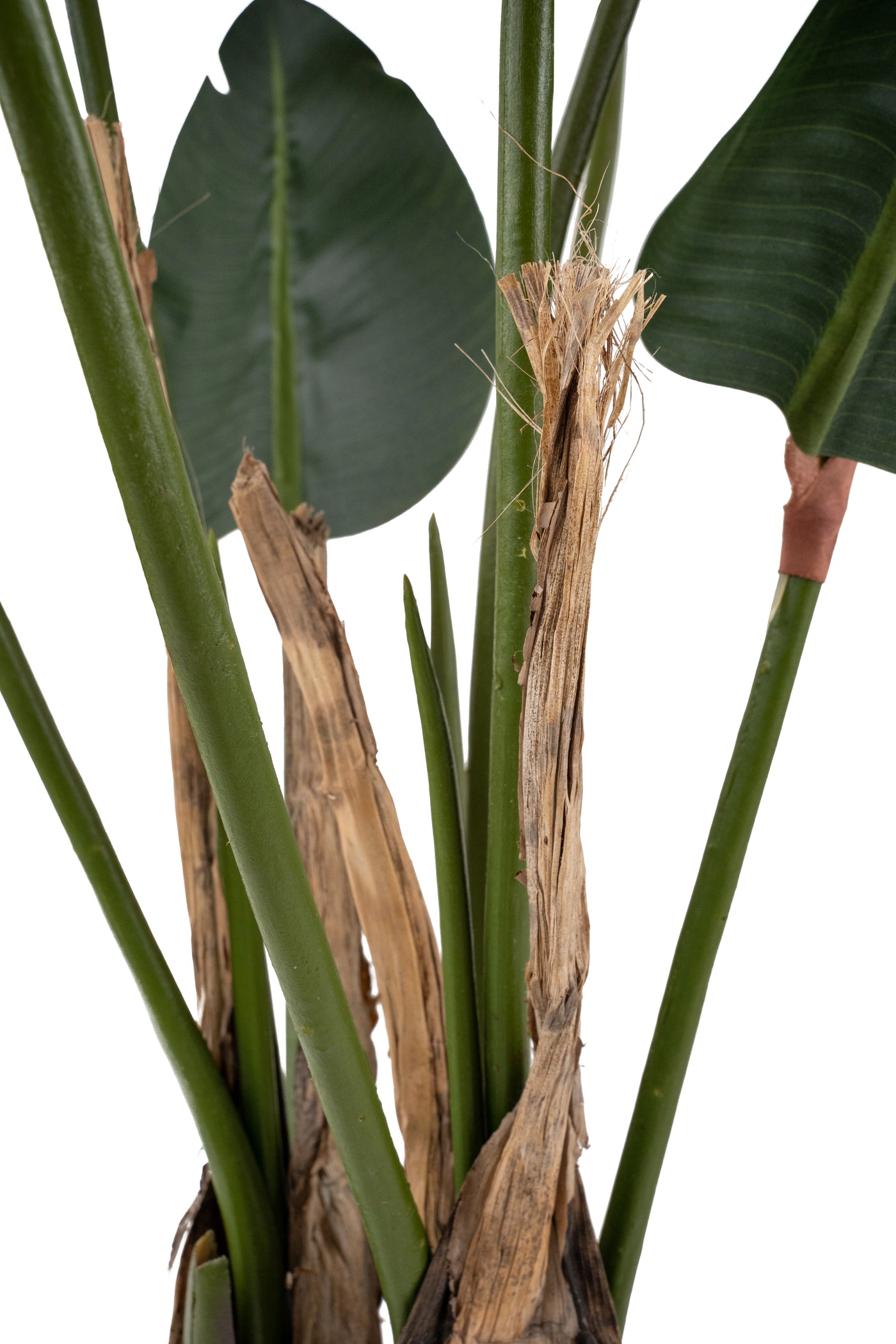 Planta artificiala H120cm Strelitzia nicolai cu 8 frunze