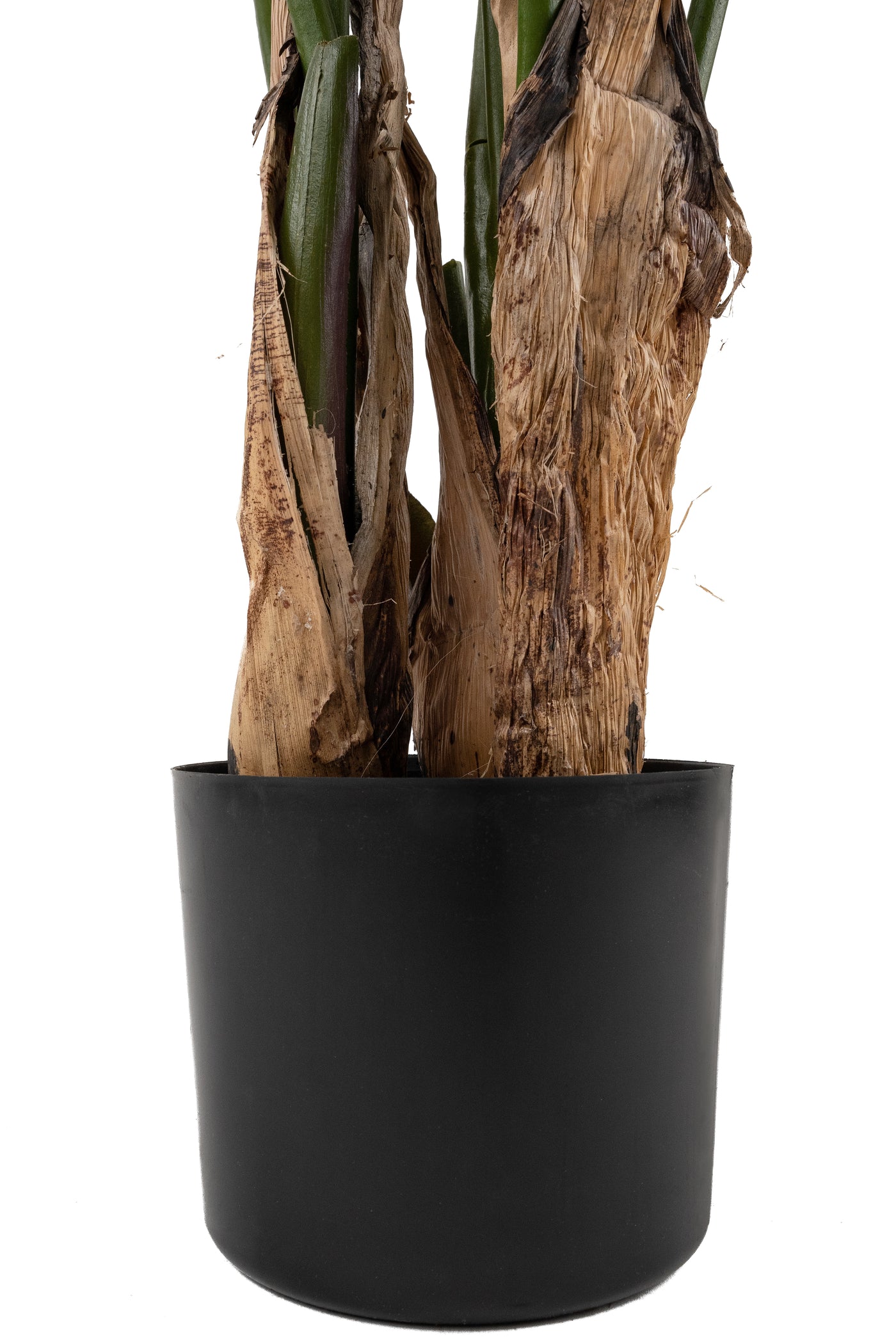 Planta artificiala H120cm Strelitzia nicolai cu 8 frunze
