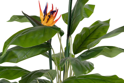 Planta artificiala H120cm Strelitzia reginae cu 20 frunze si 2 flori