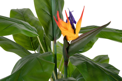 Planta artificiala H120cm Strelitzia reginae cu 20 frunze si 2 flori