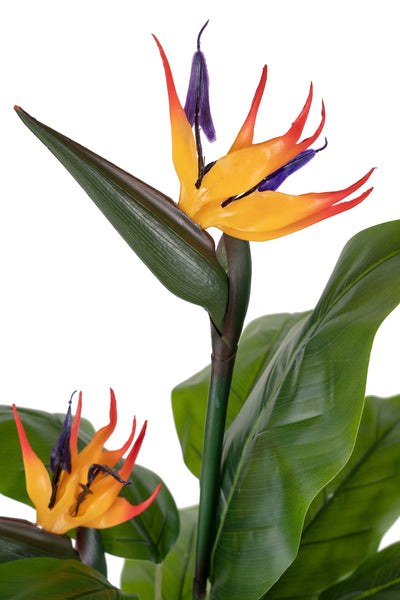 Planta artificiala H120cm Strelitzia reginae cu 20 frunze si 2 flori