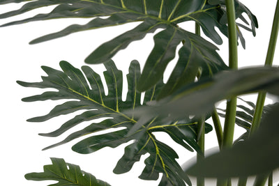 Planta artificiala H140cm Philodendron xanadu. coroana D125cm
