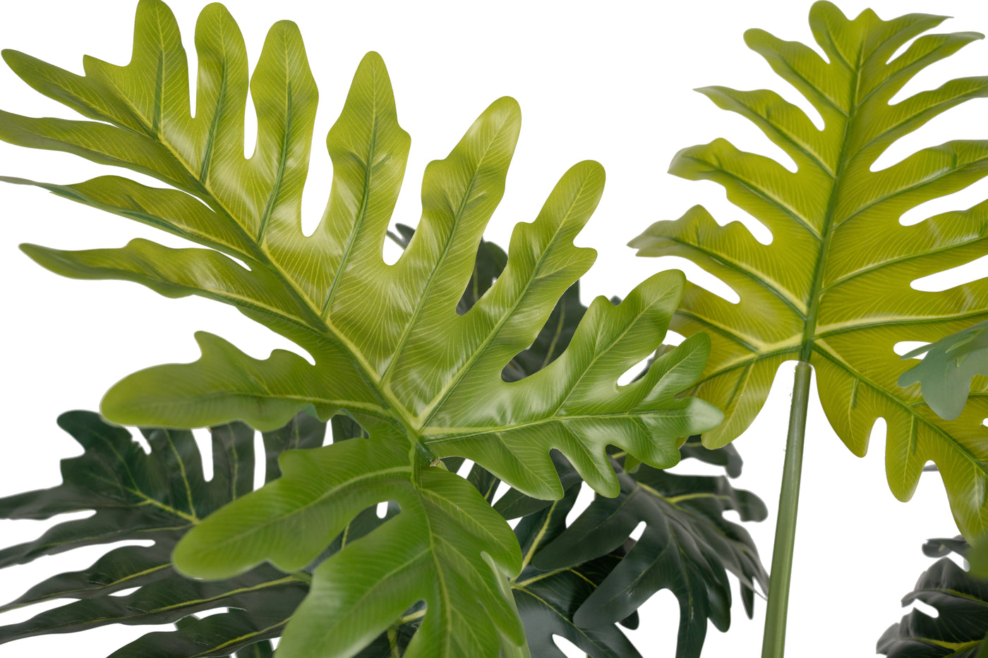 Planta artificiala H140cm Philodendron xanadu. coroana D125cm