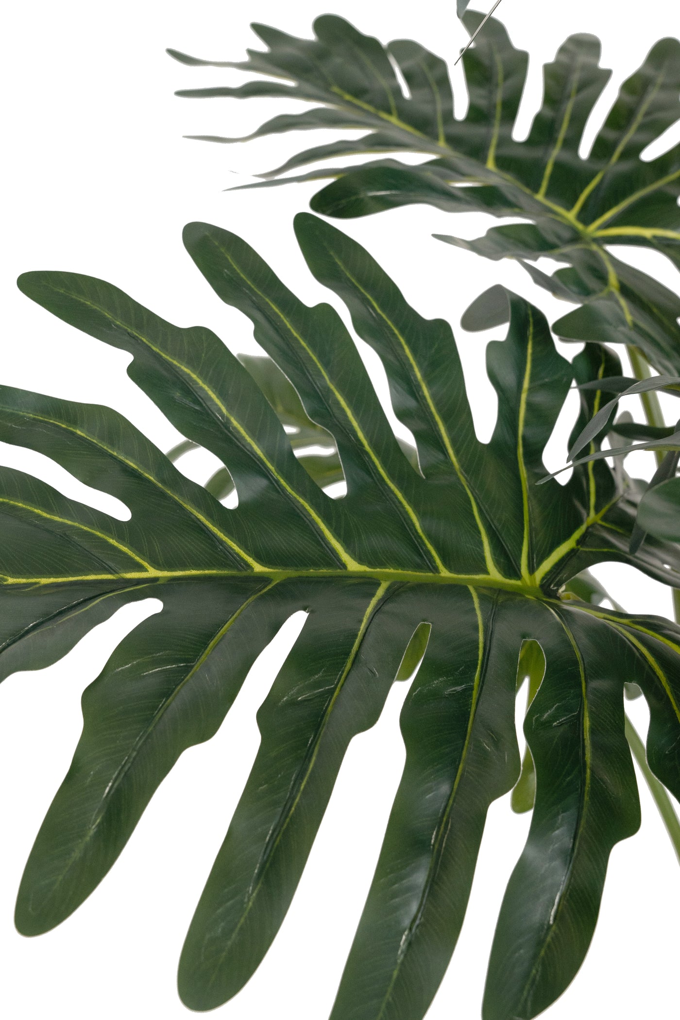 Planta artificiala H140cm Philodendron xanadu. coroana D125cm