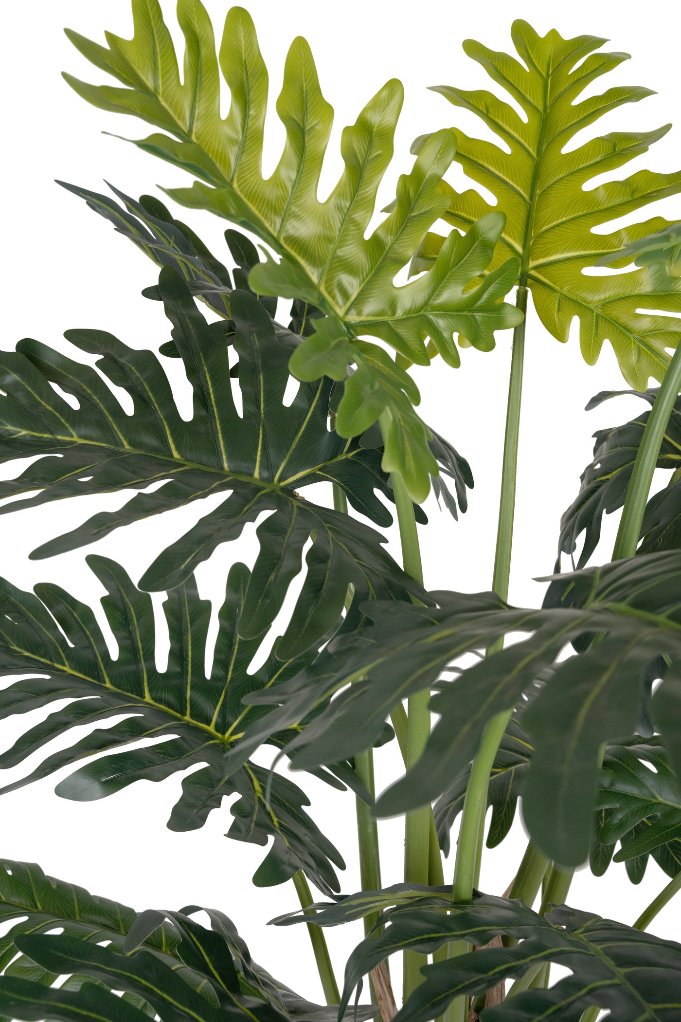 Planta artificiala H140cm Philodendron xanadu. coroana D125cm