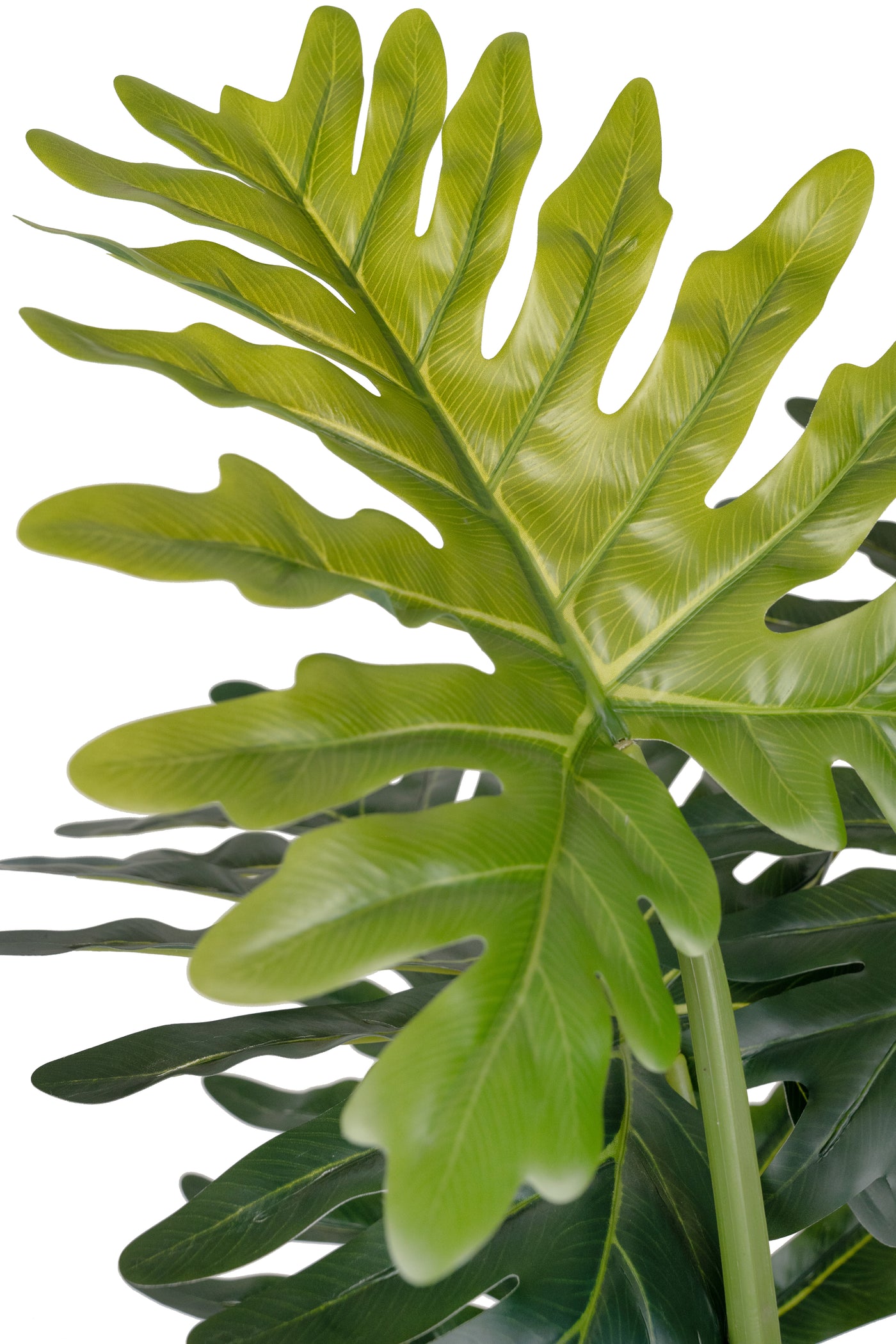 Planta artificiala H140cm Philodendron xanadu. coroana D125cm