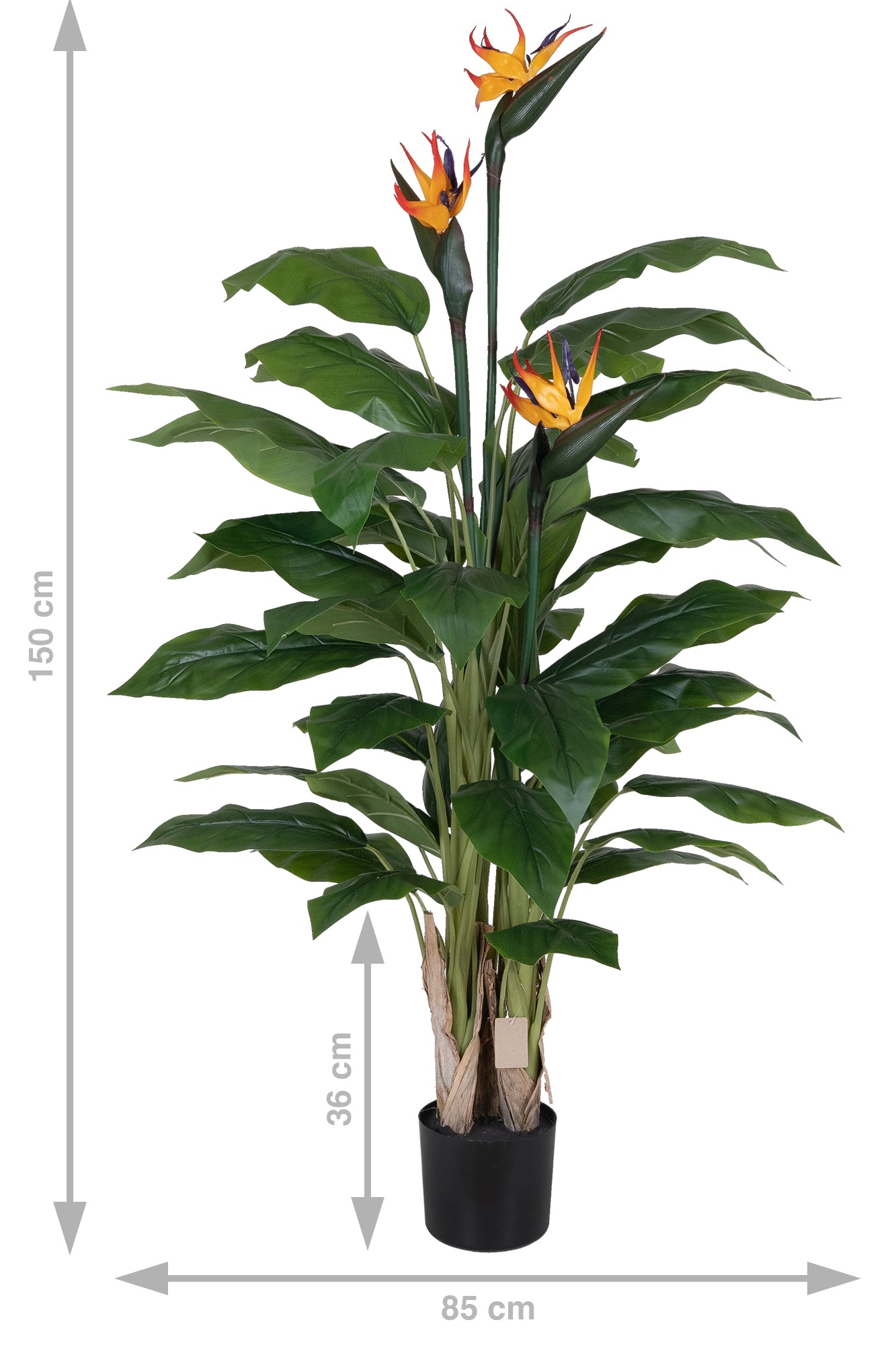 Planta artificiala H150cm Strelitzia reginae