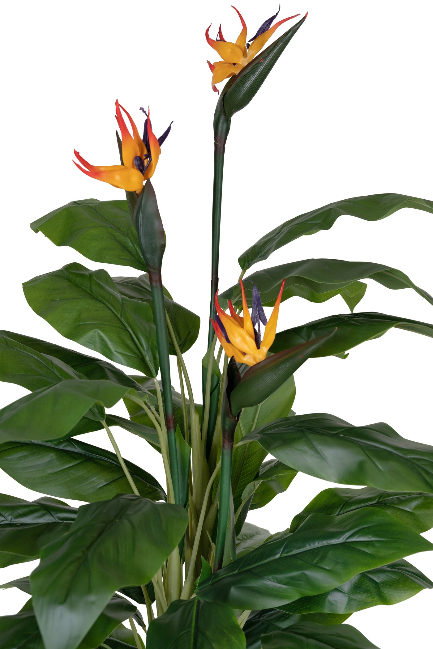 Planta artificiala H150cm Strelitzia reginae