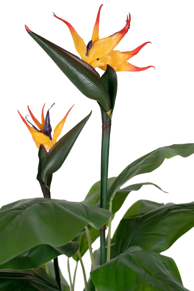 Planta artificiala H150cm Strelitzia reginae