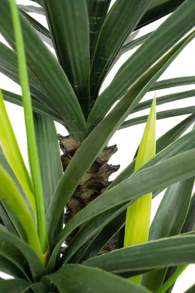 Planta artificiala H160cm Yucca elephantipes