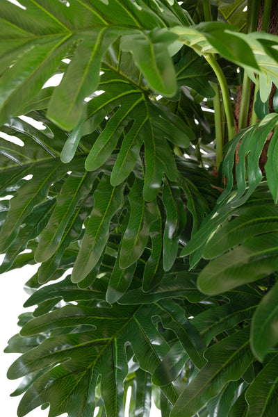 Planta artificiala H180cm Philodendron xanadu cu 44 frunze