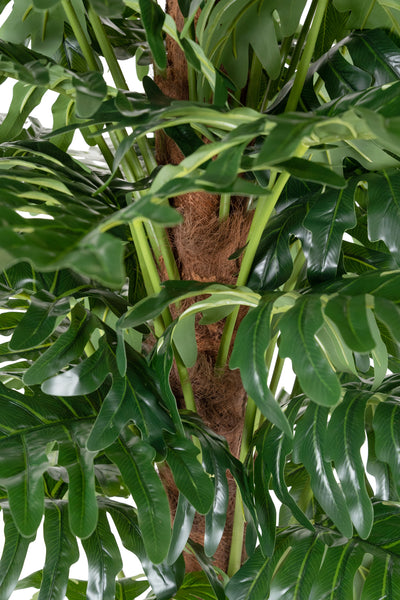 Planta artificiala H180cm Philodendron xanadu cu 44 frunze
