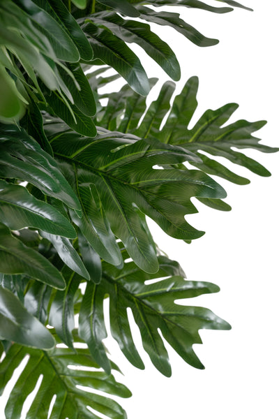 Planta artificiala H180cm Philodendron xanadu cu 44 frunze