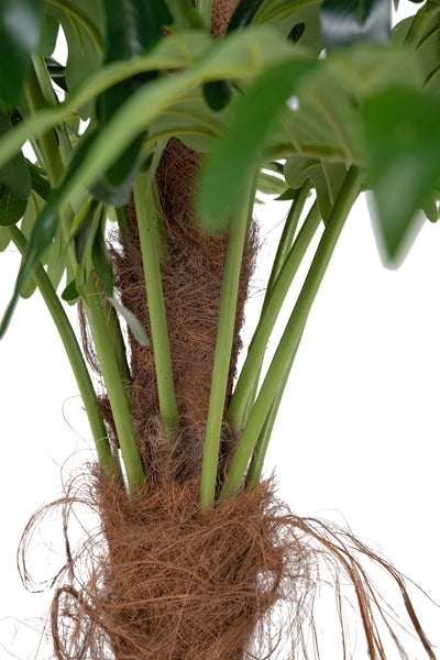 Planta artificiala H180cm Philodendron xanadu cu 44 frunze