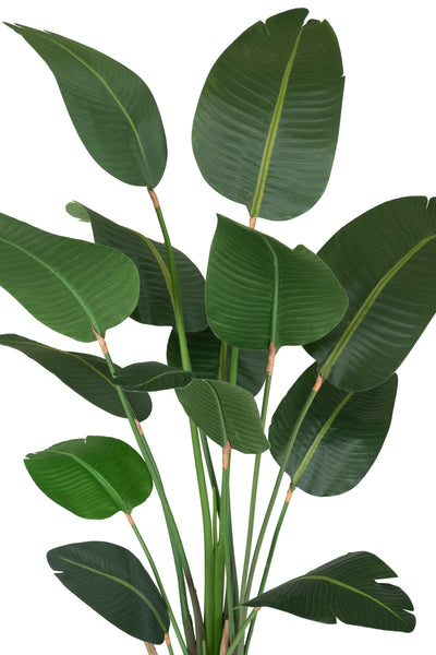 Planta artificiala H180cm Strelitzia nicolai cu 12 frunze