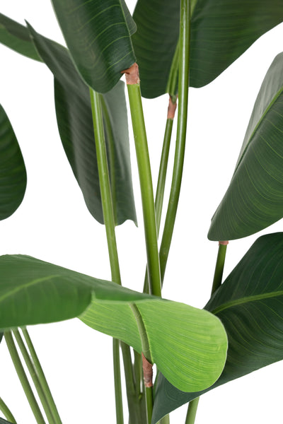 Planta artificiala H200cm Strelitzia nicolai cu 13 frunze