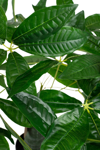 Planta artificiala H65cm Schefflera amate