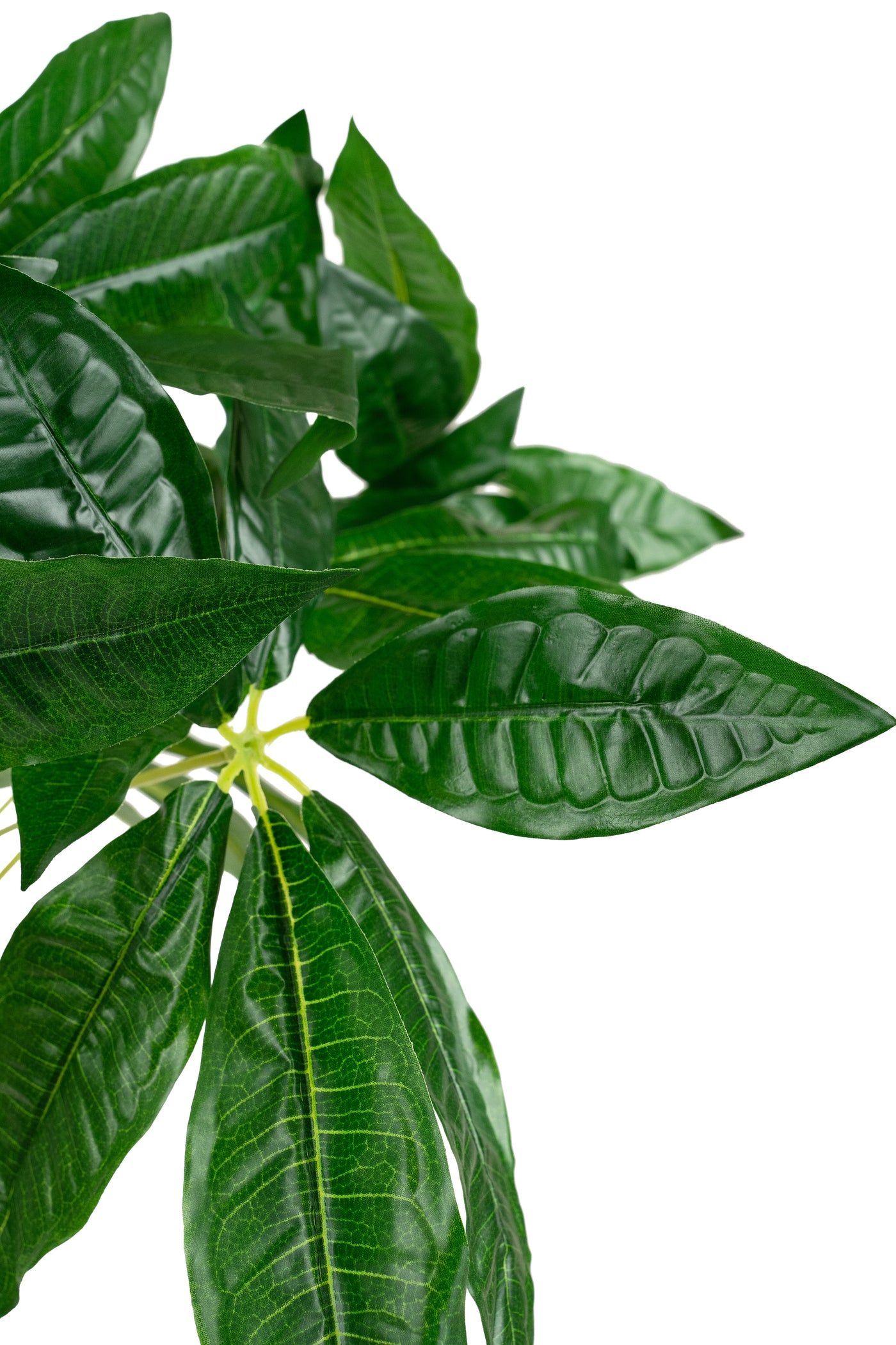 Planta artificiala H65cm Schefflera amate