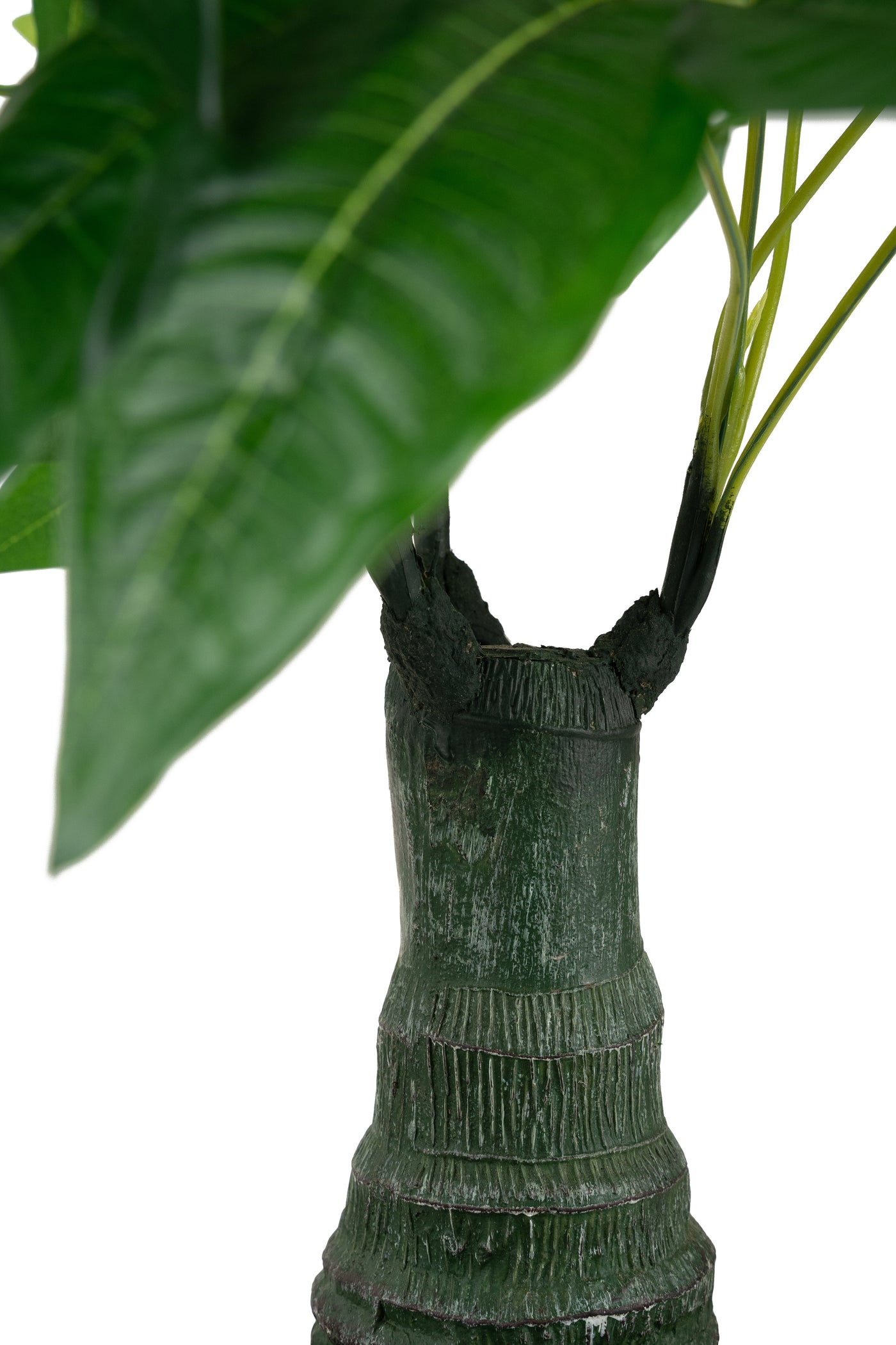 Planta artificiala H65cm Schefflera amate