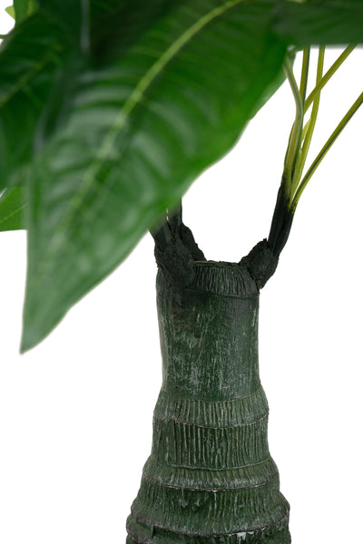Planta artificiala H65cm Schefflera amate