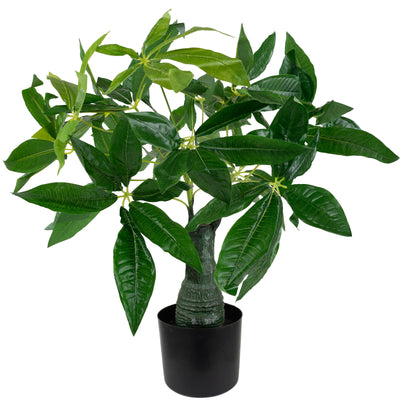 Planta artificiala H80cm Schefflera amate