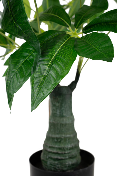 Planta artificiala H80cm Schefflera amate