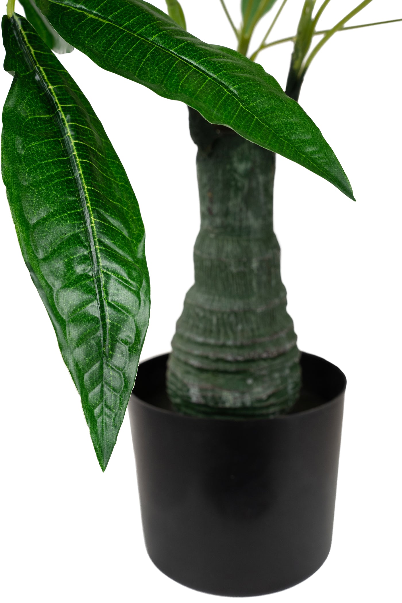 Planta artificiala H80cm Schefflera amate