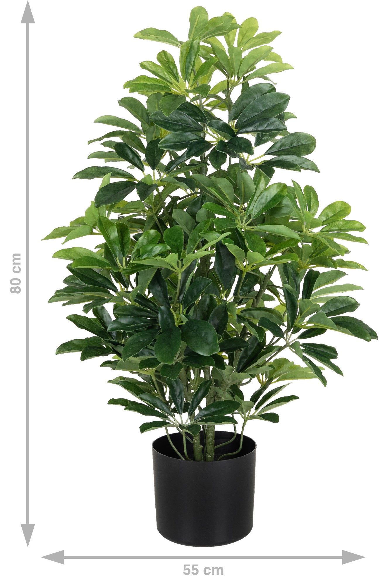 Planta artificiala H80cmSchefflera arboricola cu 766 frunze