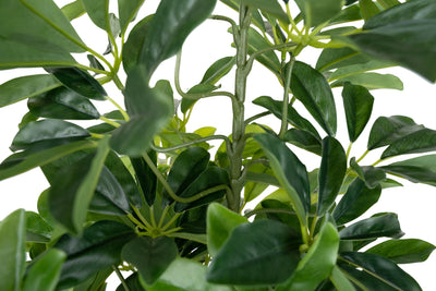 Planta artificiala H80cmSchefflera arboricola cu 766 frunze