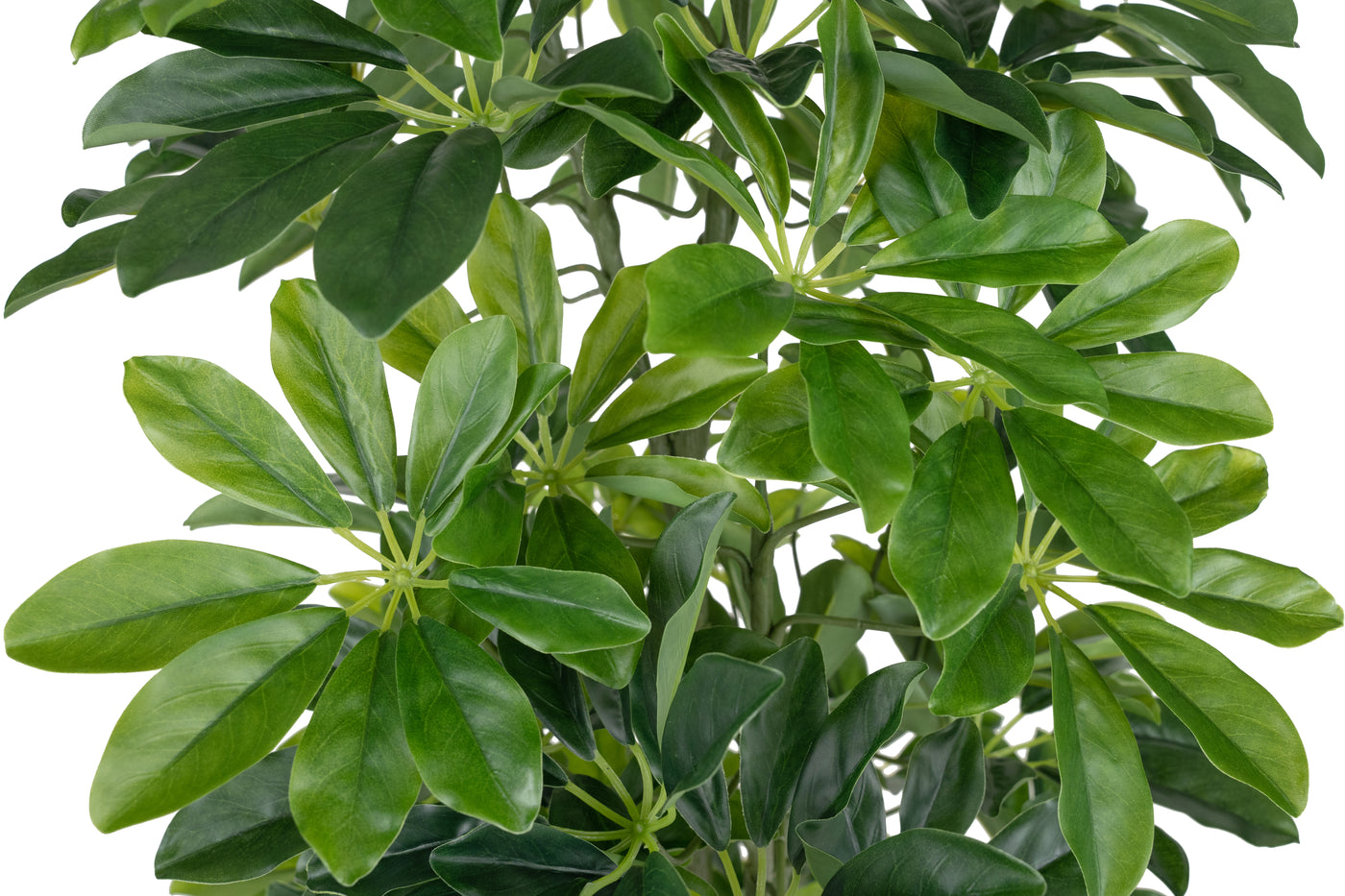 Planta artificiala H90cm Schefflera arboricola cu 591 frunze