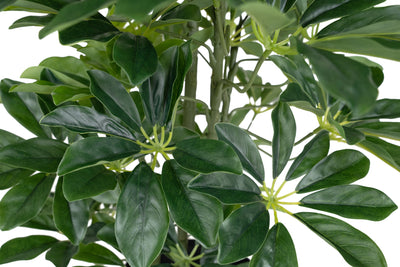 Planta artificiala H90cm Schefflera arboricola cu 591 frunze