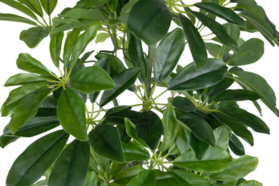 Planta artificiala H90cm Schefflera arboricola cu 591 frunze