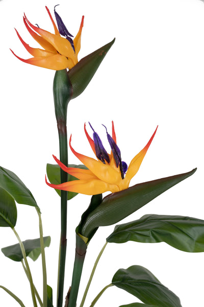 Planta artificiala H90cm Strelitzia reginae cu 12 frunze si 2 flori