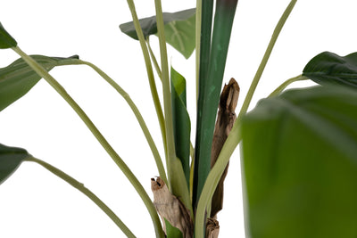 Planta artificiala H90cm Strelitzia reginae cu 12 frunze si 2 flori